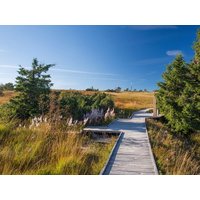 2 entspannte Tage im Schwarzwald mit HP in Baiersbronn, Baden-Württemberg inkl. Halbpension Unkategorisiert online kaufen 2 entspannte Tage im Schwarzwald mit HP in Baiersbronn, Baden-Württemberg inkl. Halbpension Unkategorisiert online kaufen