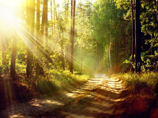 2 Tage Dein Sommer im Schwarzwald in Freudenstadt, Baden-Württemberg inkl. Frühstück Unkategorisiert online kaufen 2 Tage Dein Sommer im Schwarzwald in Freudenstadt, Baden-Württemberg inkl. Frühstück Unkategorisiert online kaufen