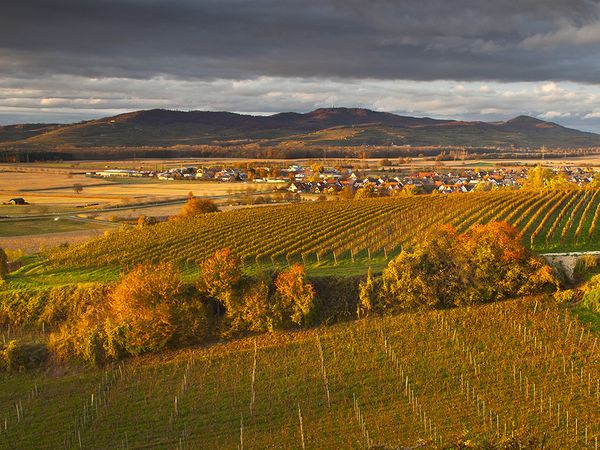 2 Tage Genussurlaub - Kulinarisches Gourmet-Wochenende am Kaiserstuhl in Gottenheim inkl. Halbpension Unkategorisiert online kaufen 2 Tage Genussurlaub - Kulinarisches Gourmet-Wochenende am Kaiserstuhl in Gottenheim inkl. Halbpension Unkategorisiert online kaufen