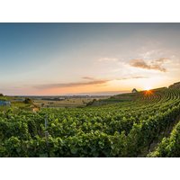 2 Tage Kurzreise am Kaiserstuhl in Ihringen, Baden-Württemberg inkl. Frühstück Unkategorisiert online kaufen 2 Tage Kurzreise am Kaiserstuhl in Ihringen, Baden-Württemberg inkl. Frühstück Unkategorisiert online kaufen