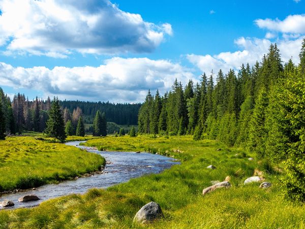 2 Tage Raus aus dem Alltag in Bonndorf im Schwarzwald, Baden-Württemberg inkl. Halbpension Unkategorisiert online kaufen 2 Tage Raus aus dem Alltag in Bonndorf im Schwarzwald, Baden-Württemberg inkl. Halbpension Unkategorisiert online kaufen