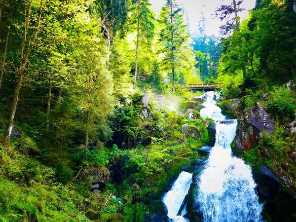 2 Tage Romantisches Kuschelarrangement in Lauterbach (Schwarzwald), Baden-Württemberg inkl. Halbpension Unkategorisiert online kaufen 2 Tage Romantisches Kuschelarrangement in Lauterbach (Schwarzwald), Baden-Württemberg inkl. Halbpension Unkategorisiert online kaufen