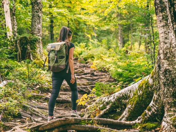 2 Tage Schwarzwälder Faschingsruhe inkl. HP in Unterreichenbach, Baden-Württemberg inkl. Halbpension Unkategorisiert online kaufen 2 Tage Schwarzwälder Faschingsruhe inkl. HP in Unterreichenbach, Baden-Württemberg inkl. Halbpension Unkategorisiert online kaufen