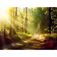 2 Tage Schwarzwald Wander-Special in Bonndorf im Schwarzwald, Baden-Württemberg inkl. Frühstück Unkategorisiert online kaufen 2 Tage Schwarzwald Wander-Special in Bonndorf im Schwarzwald, Baden-Württemberg inkl. Frühstück Unkategorisiert online kaufen