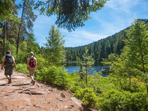 2 Tage #VisitBlackForest in Raststatt, Baden-Württemberg inkl. Frühstück Unkategorisiert online kaufen 2 Tage #VisitBlackForest in Raststatt, Baden-Württemberg inkl. Frühstück Unkategorisiert online kaufen