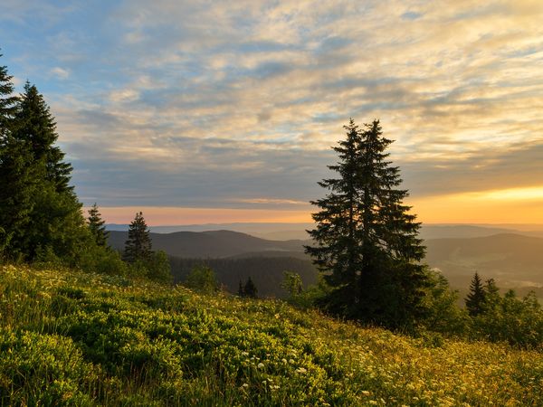 2 Tage Wanderspaß in der Region Nordschwarzwald in Bad Herrenalb, Baden-Württemberg inkl. Frühstück Unkategorisiert online kaufen