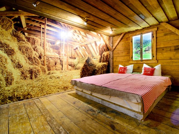 2 Tage Zeit für 2 im romantischen Schwarzwald mit Wellness in Baiersbronn, Baden-Württemberg inkl. Halbpension Unkategorisiert online kaufen