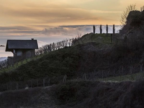 3 Tage 3=2 Special - Winterzauber am Kaiserstuhl in Gottenheim inkl. Halbpension Unkategorisiert online kaufen 3 Tage 3=2 Special - Winterzauber am Kaiserstuhl in Gottenheim inkl. Halbpension Unkategorisiert online kaufen