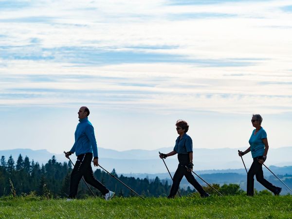 3 Tage Acidosana® Balance Kennenlerntage im Schwarzwald in Höchenschwand, Baden-Württemberg inkl. Vollpension Unkategorisiert Produktbild
