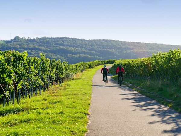 3 Tage Aktivurlaub - mit dem Fahrrad durch die Ortenau in Kehl, Baden-Württemberg inkl. Frühstück Unkategorisiert online kaufen