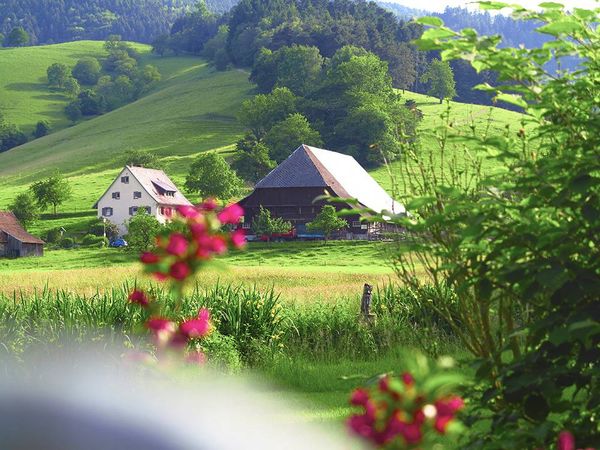 3 Tage Alltagsrast im Tannhof - Im Schwarzwald in Feldberg (Schwarzwald), Baden-Württemberg inkl. Halbpension Plus Unkategorisiert online kaufen 3 Tage Alltagsrast im Tannhof - Im Schwarzwald in Feldberg (Schwarzwald), Baden-Württemberg inkl. Halbpension Plus Unkategorisiert online kaufen