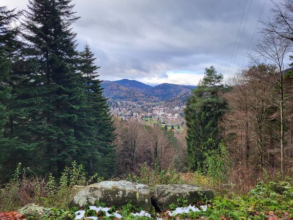 3 Tage Familienzeit mit Ihrem Haustier im Schwarzwald in Bad Herrenalb, Baden-Württemberg inkl. Frühstück Unkategorisiert online kaufen