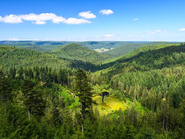 3 Tage Kurzurlaub mit Frühstück im Boutique Hotel Societe in Baden-Baden, Baden-Württemberg inkl. Frühstück Unkategorisiert online kaufen 3 Tage Kurzurlaub mit Frühstück im Boutique Hotel Societe in Baden-Baden, Baden-Württemberg inkl. Frühstück Unkategorisiert online kaufen