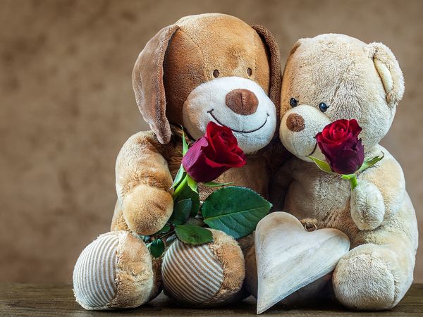 3 Tage Schwarzwälder Kuscheltage in Baiersbronn, Baden-Württemberg inkl. Frühstück Unkategorisiert online kaufen 3 Tage Schwarzwälder Kuscheltage in Baiersbronn, Baden-Württemberg inkl. Frühstück Unkategorisiert online kaufen