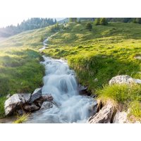 3 Tage Schwarzwald Wutachschlucht & Palmenparadies in Bonndorf im Schwarzwald, Baden-Württemberg inkl. Halbpension Unkategorisiert online kaufen 3 Tage Schwarzwald Wutachschlucht & Palmenparadies in Bonndorf im Schwarzwald, Baden-Württemberg inkl. Halbpension Unkategorisiert online kaufen