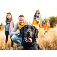 3 Tage Schwarzwaldidylle für Mensch und Hund inkl. HP in Hüfingen OT Fürstenberg, Baden-Württemberg inkl. Halbpension Unkategorisiert online kaufen 3 Tage Schwarzwaldidylle für Mensch und Hund inkl. HP in Hüfingen OT Fürstenberg, Baden-Württemberg inkl. Halbpension Unkategorisiert online kaufen