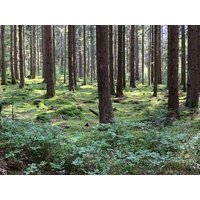 3 Tage Wochenmitte Spezial in Unterreichenbach, Baden-Württemberg inkl. Frühstück Unkategorisiert online kaufen 3 Tage Wochenmitte Spezial in Unterreichenbach, Baden-Württemberg inkl. Frühstück Unkategorisiert online kaufen