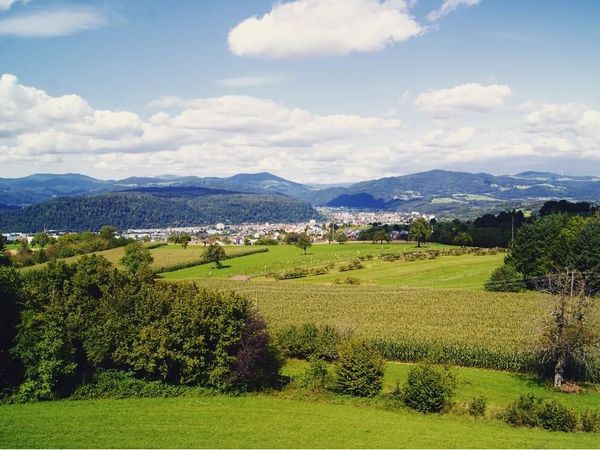 4 Tage Erholung und Genuss im Schwarzwald in Schopfheim-Wiechs, Baden-Württemberg inkl. Halbpension Unkategorisiert online kaufen