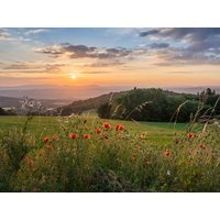 4 Tage Exclusiv verreisen nach Offenburg, Baden-Württemberg inkl. Frühstück Unkategorisiert online kaufen 4 Tage Exclusiv verreisen nach Offenburg, Baden-Württemberg inkl. Frühstück Unkategorisiert online kaufen