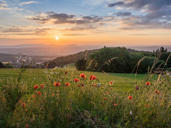 4 Tage Exclusiv verreisen nach Offenburg, Baden-Württemberg inkl. Frühstück Unkategorisiert online kaufen