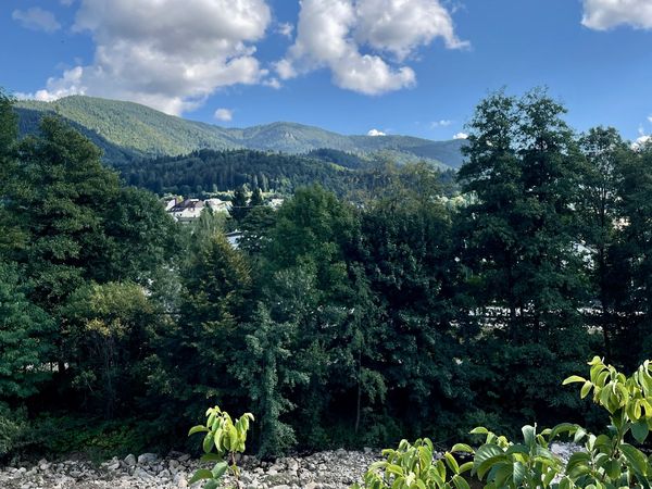 4 Tage KingSize Auszeit zwischen Fluss und Bergen in Waldkirch, Baden-Württemberg inkl. Frühstück Unkategorisiert online kaufen