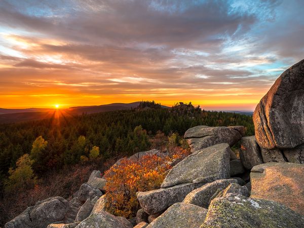 4 Tage Moderne Auszeit im Schwarzwald (4 Nächte) in Waldkirch, Baden-Württemberg inkl. Frühstück Unkategorisiert online kaufen