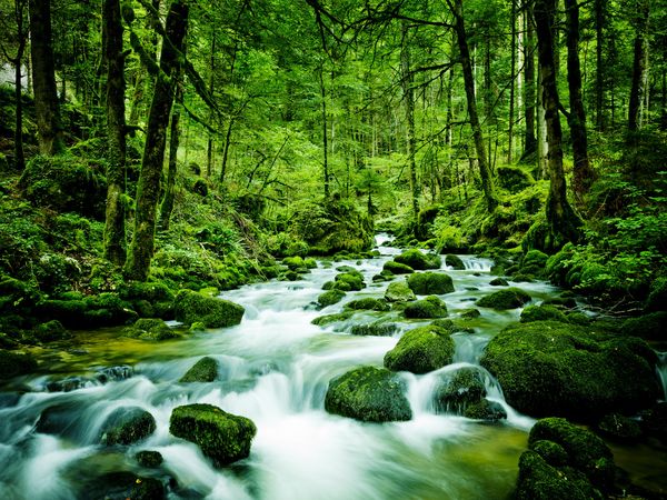4 Tage Natur | Ruhe | Entspannung | Genussmomente in Bonndorf im Schwarzwald, Baden-Württemberg inkl. Halbpension Unkategorisiert online kaufen 4 Tage Natur | Ruhe | Entspannung | Genussmomente in Bonndorf im Schwarzwald, Baden-Württemberg inkl. Halbpension Unkategorisiert online kaufen