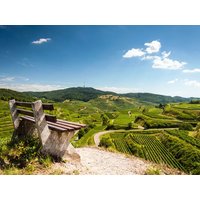 4 Tage Naturerlebnis am wunderbaren Kaiserstuhl in Ihringen, Baden-Württemberg inkl. Frühstück Unkategorisiert Produktbild 4 Tage Naturerlebnis am wunderbaren Kaiserstuhl in Ihringen, Baden-Württemberg inkl. Frühstück Unkategorisiert Produktbild