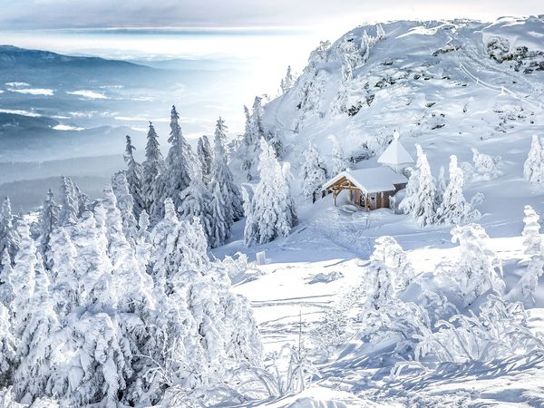 4 Tage Winter-Special im Schwarzwald mit Therme in Bonndorf im Schwarzwald, Baden-Württemberg inkl. Halbpension Unkategorisiert online kaufen 4 Tage Winter-Special im Schwarzwald mit Therme in Bonndorf im Schwarzwald, Baden-Württemberg inkl. Halbpension Unkategorisiert online kaufen