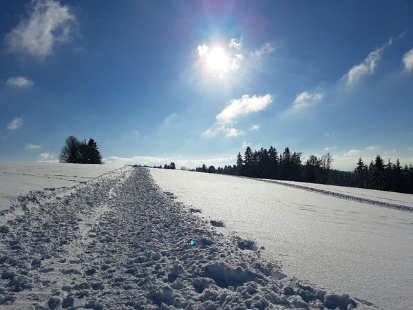 4 Tage Winterzauber: Wellness und Entspannung im Schwarzwald in Höchenschwand, Baden-Württemberg inkl. Halbpension Unkategorisiert online kaufen 4 Tage Winterzauber: Wellness und Entspannung im Schwarzwald in Höchenschwand, Baden-Württemberg inkl. Halbpension Unkategorisiert online kaufen