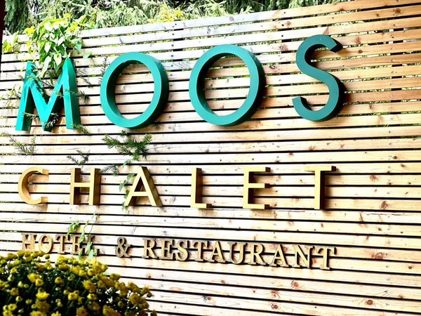 4 Tage Wohlfühlpause in Todtmoos mit 3-Gang-Menü, Baden-Württemberg inkl. Halbpension Unkategorisiert online kaufen 4 Tage Wohlfühlpause in Todtmoos mit 3-Gang-Menü, Baden-Württemberg inkl. Halbpension Unkategorisiert online kaufen