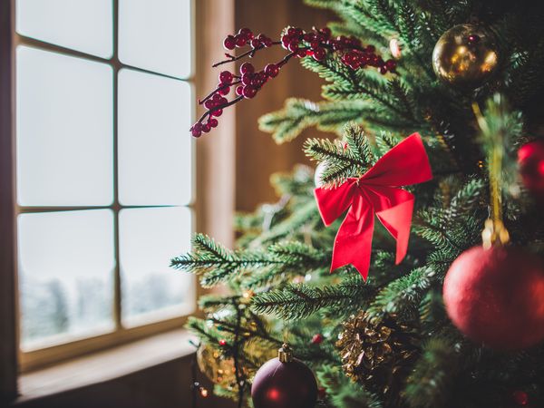 5 Tage Frühbucher Weihnachts-Top-Angebot in Bonndorf im Schwarzwald, Baden-Württemberg inkl. Halbpension Unkategorisiert online kaufen