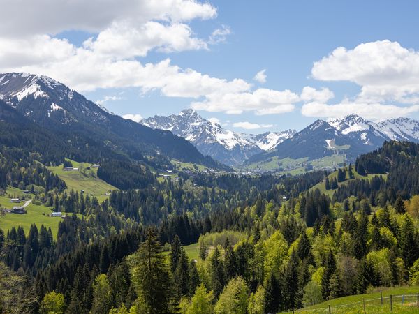 5 Tage Jaunbachtal im Residence Hoteliere Le Sapin in Val-de-Charmey, Freiburg inkl. Frühstück Unkategorisiert online kaufen