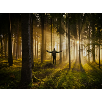 5 Tage Longevity Wellnessurlaub im Schwarzwald – 5 Nächte Tiefenentspannung & Vitalität in Waldachtal, Baden-Württemberg inkl. Halbpension Unkategorisiert online kaufen 5 Tage Longevity Wellnessurlaub im Schwarzwald – 5 Nächte Tiefenentspannung & Vitalität in Waldachtal, Baden-Württemberg inkl. Halbpension Unkategorisiert online kaufen