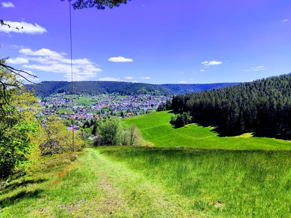 5 Tage Radeln und genießen in Baiersbronn, Baden-Württemberg inkl. Frühstück Unkategorisiert Produktbild 5 Tage Radeln und genießen in Baiersbronn, Baden-Württemberg inkl. Frühstück Unkategorisiert Produktbild