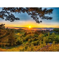 5 Tage Sommer Special "Barbecue & Cocktail" 4 Nächte in Bonndorf im Schwarzwald, Baden-Württemberg inkl. Halbpension Unkategorisiert online kaufen 5 Tage Sommer Special "Barbecue & Cocktail" 4 Nächte in Bonndorf im Schwarzwald, Baden-Württemberg inkl. Halbpension Unkategorisiert online kaufen