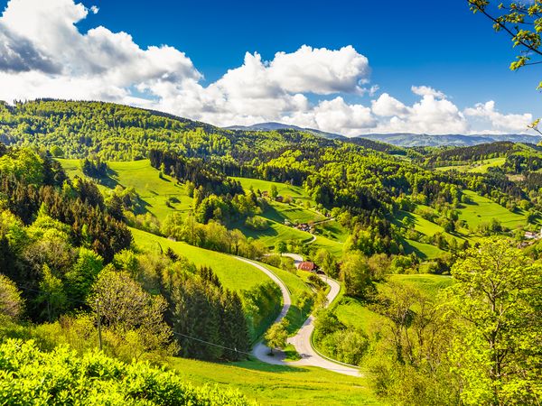 5 Tage Südschwarzwald: Naturparadies & Genuss in Zell im Wiesental, Baden-Württemberg inkl. Halbpension Unkategorisiert online kaufen