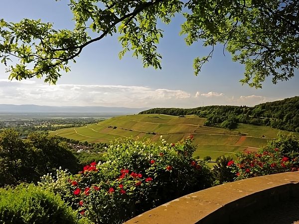 5 Tage Wellness, Wein und die südlichen Momente in Badenweiler, Baden-Württemberg inkl. Halbpension Unkategorisiert online kaufen