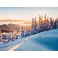 5 Tage Winterzauber im Schwarzwaldhof in Bonndorf im Schwarzwald, Baden-Württemberg inkl. Halbpension Unkategorisiert online kaufen 5 Tage Winterzauber im Schwarzwaldhof in Bonndorf im Schwarzwald, Baden-Württemberg inkl. Halbpension Unkategorisiert online kaufen