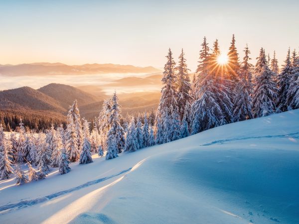 5 Tage Winterzauber im Schwarzwaldhof in Bonndorf im Schwarzwald, Baden-Württemberg inkl. Halbpension Unkategorisiert Produktbild 5 Tage Winterzauber im Schwarzwaldhof in Bonndorf im Schwarzwald, Baden-Württemberg inkl. Halbpension Unkategorisiert Produktbild