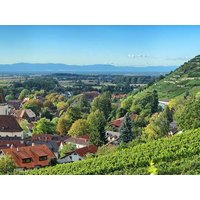 6 Tage Wandern: Weinberge und Schwarzwaldlandschaften in Staufen, Baden-Württemberg inkl. Frühstück Unkategorisiert online kaufen 6 Tage Wandern: Weinberge und Schwarzwaldlandschaften in Staufen, Baden-Württemberg inkl. Frühstück Unkategorisiert online kaufen