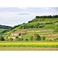6=5 Wein - Genuss - Tage am Kaiserstuhl in Ihringen, Baden-Württemberg inkl. Frühstück Unkategorisiert online kaufen 6=5 Wein - Genuss - Tage am Kaiserstuhl in Ihringen, Baden-Württemberg inkl. Frühstück Unkategorisiert online kaufen