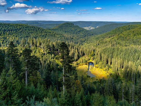 7 Tage Eine Woche Urlaub im Südschwarzwald in Schopfheim, Baden-Württemberg inkl. Halbpension Unkategorisiert online kaufen 7 Tage Eine Woche Urlaub im Südschwarzwald in Schopfheim, Baden-Württemberg inkl. Halbpension Unkategorisiert online kaufen