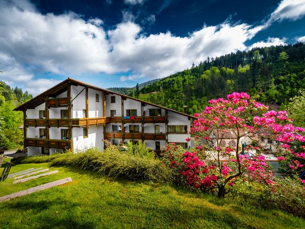 7 Tage Holzschuh´s SPA-Wohlfühlwoche mit veganer Verpflegung in Baiersbronn, Baden-Württemberg inkl. Halbpension Unkategorisiert online kaufen 7 Tage Holzschuh´s SPA-Wohlfühlwoche mit veganer Verpflegung in Baiersbronn, Baden-Württemberg inkl. Halbpension Unkategorisiert online kaufen