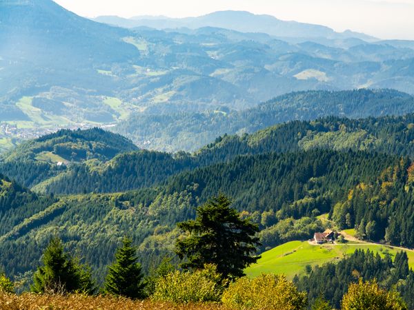 7 Tage Wellnessurlaub im Schwarzwald mit Halbpension in Loßburg, Baden-Württemberg inkl. Halbpension Unkategorisiert online kaufen 7 Tage Wellnessurlaub im Schwarzwald mit Halbpension in Loßburg, Baden-Württemberg inkl. Halbpension Unkategorisiert online kaufen