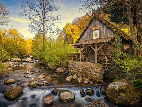 8 Tage günstiger Wanderurlaub im Schwarzwald in Todtmoos, Baden-Württemberg inkl. Frühstück Unkategorisiert online kaufen 8 Tage günstiger Wanderurlaub im Schwarzwald in Todtmoos, Baden-Württemberg inkl. Frühstück Unkategorisiert online kaufen