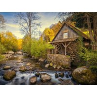 8 Tage günstiger Wanderurlaub im Schwarzwald in Todtmoos, Baden-Württemberg inkl. Frühstück Unkategorisiert online kaufen