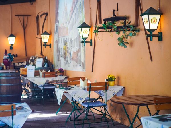 8 Tage Urlaub am Kaiserstuhl! (mit 4x Dinner) in Breisach am Rhein, Baden-Württemberg inkl. Halbpension Unkategorisiert online kaufen