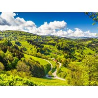 9 Tage unvergessliche Schwarzwalderlebnisse in Titisee-Neustadt, Baden-Württemberg inkl. Halbpension Unkategorisiert online kaufen