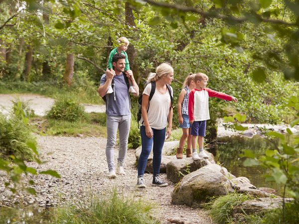 Das Wandern ist auch meine Lust - 6 Tage in Schluchsee, Baden-Württemberg inkl. Frühstück Unkategorisiert online kaufen
